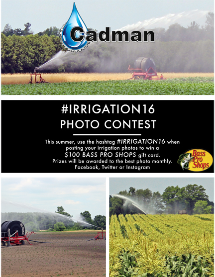 Cadman Photo Contest