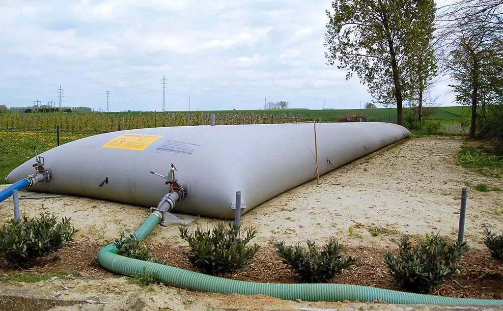 Albers Alligator Winbag